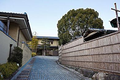 英国周榜：《地平线：西之绝境》带动《零之曙光》销量